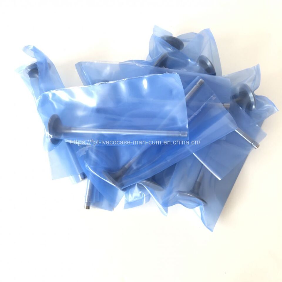FPT IVECO CASE Cursor9Bus F2CFE612D*J231/F2CFE612A*J098 5802748674 EXHAUST VALVE 5801506352 - Ventil för Buss: bild 3 FPT IVECO CASE Cursor9Bus F2CFE612D*J231/F2CFE612A*J098 5802748674 EXHAUST VALVE 5801506352 - Ventil för Buss: bild 3
