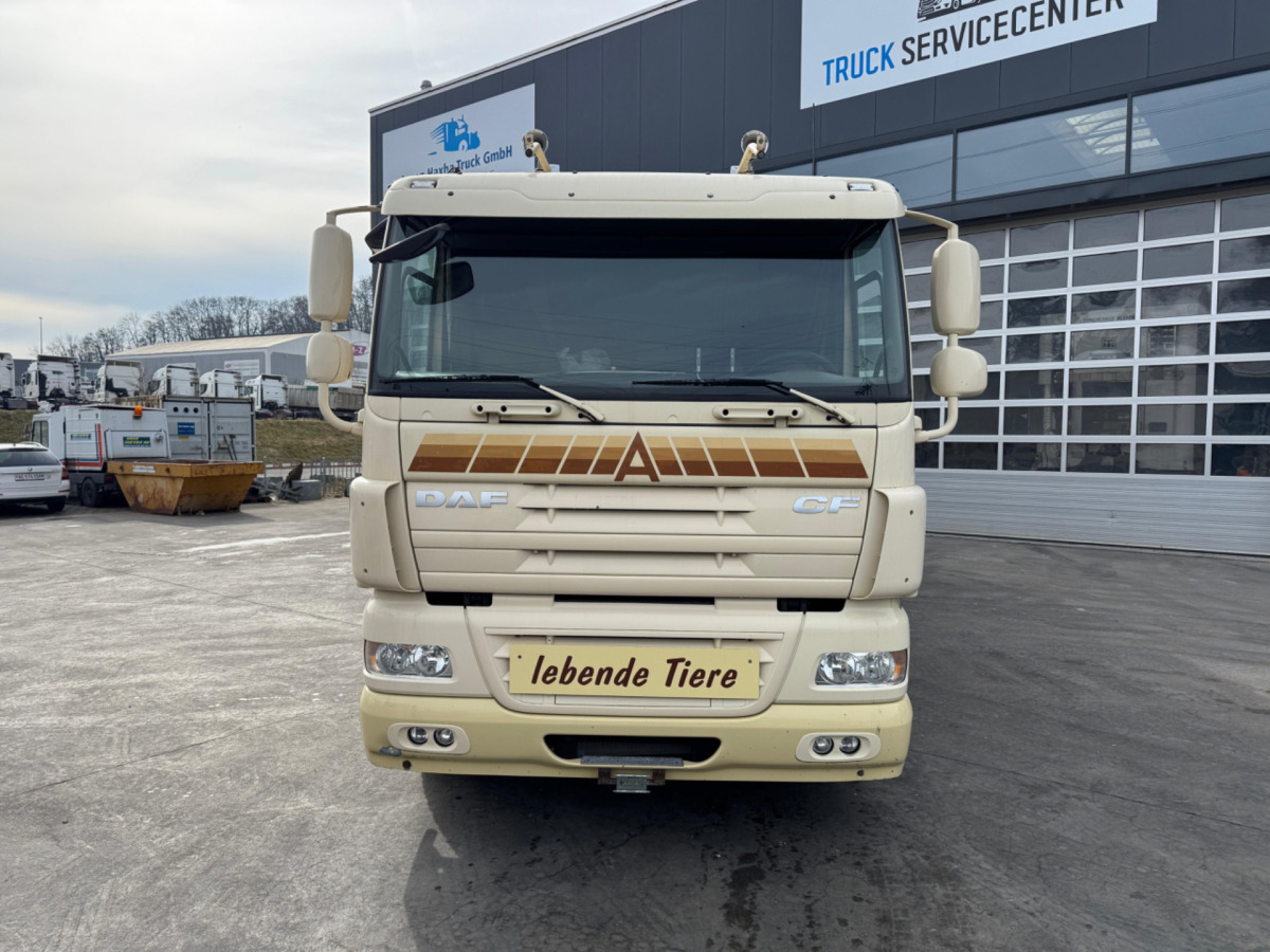 DAF CF410 4x2 - Djurtransport lastbil: bild 2 DAF CF410 4x2 - Djurtransport lastbil: bild 2
