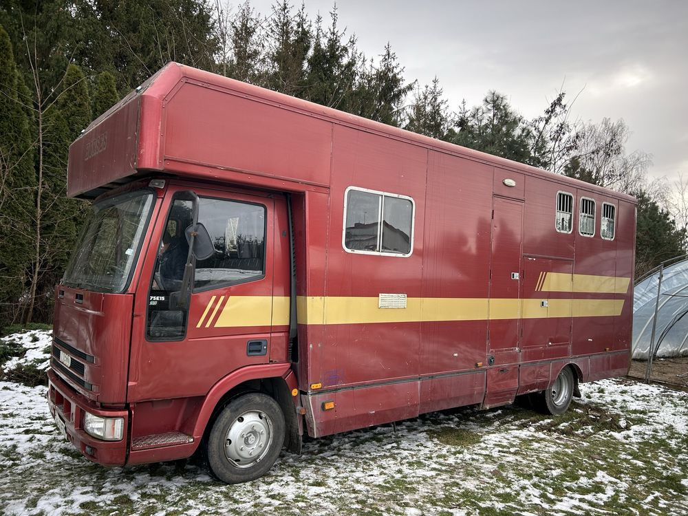 Kamper koniowoz Iveco 2w1 - Hästbuss: bild 1 Kamper koniowoz Iveco 2w1 - Hästbuss: bild 1