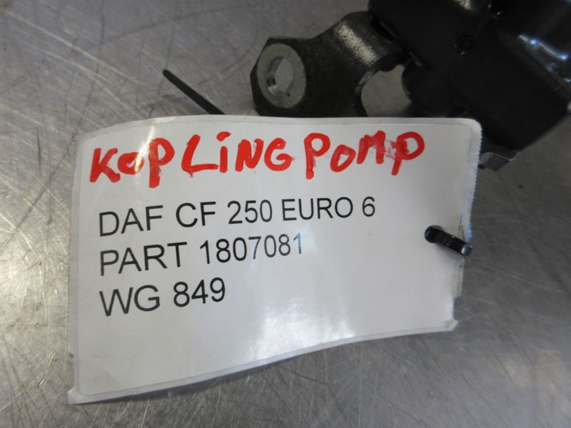 DAF 1807081 KOPLINGSPOMP DAF CF 250 EURO 6 - Koppling och reservdelar för Lastbil: bild 5 DAF 1807081 KOPLINGSPOMP DAF CF 250 EURO 6 - Koppling och reservdelar för Lastbil: bild 5
