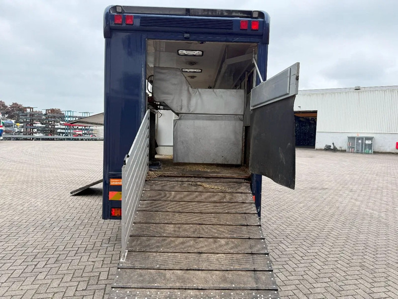 Mercedes-Benz Atego 1223 / ENGINE RUNNING / ONLY:159450 KM / HORSETRUCK / HEATED BOX / WATERTANK / LIVING ROOM / EURO-2 / MANUAL / 1998 - Hästbuss: bild 5 Mercedes-Benz Atego 1223 / ENGINE RUNNING / ONLY:159450 KM / HORSETRUCK / HEATED BOX / WATERTANK / LIVING ROOM / EURO-2 / MANUAL / 1998 - Hästbuss: bild 5