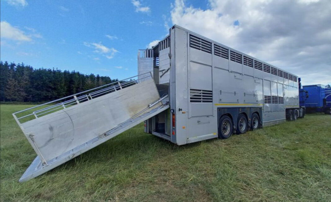 Gray and Adams Gadd3 / Works Great / Hydraulic / 2 Levels - Djurtransport semitrailer: bild 3 Gray and Adams Gadd3 / Works Great / Hydraulic / 2 Levels - Djurtransport semitrailer: bild 3