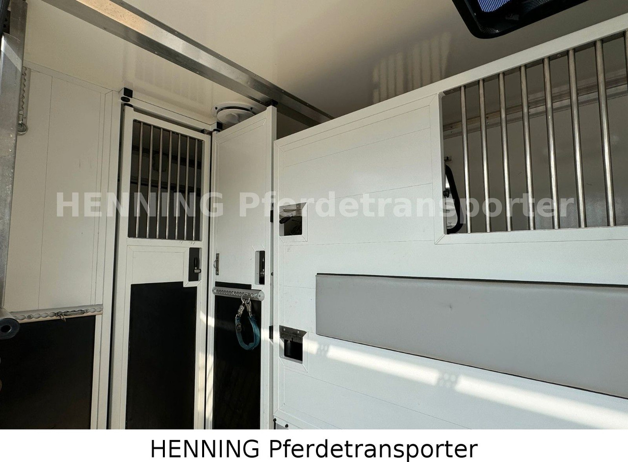 Citroën Jumper 5 - Sitzer - Djurtransport lastbil: bild 5 Citroën Jumper 5 - Sitzer - Djurtransport lastbil: bild 5