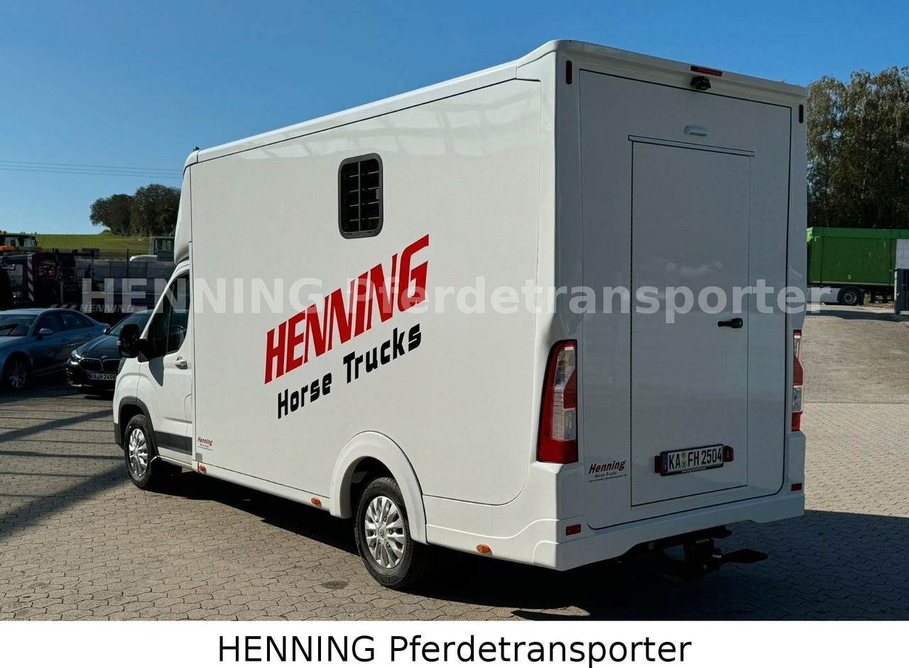 Maxus Deliver 3 - Sitzer - Djurtransport lastbil: bild 4 Maxus Deliver 3 - Sitzer - Djurtransport lastbil: bild 4
