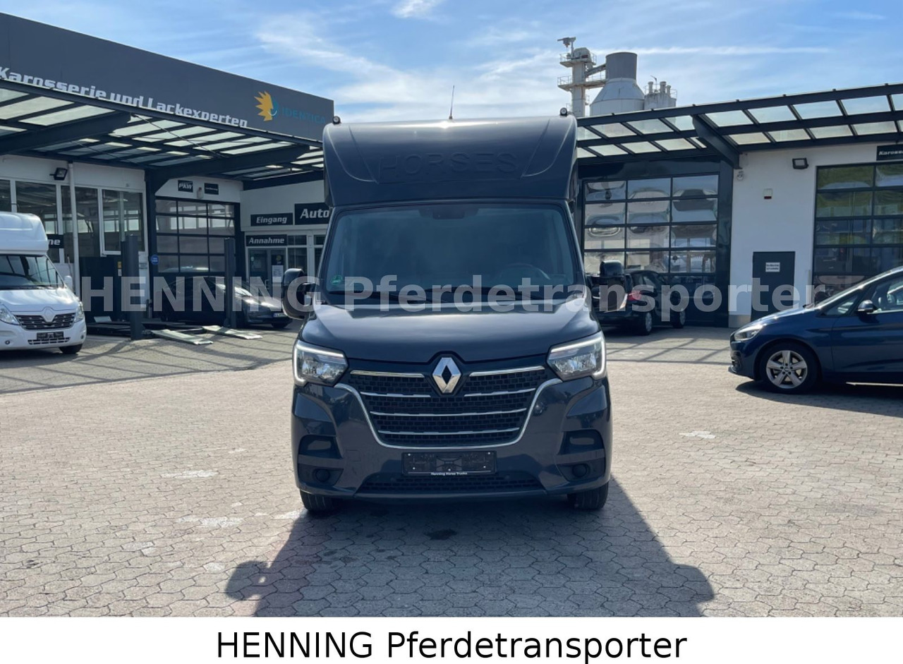 Renault Master 3 - Sitzer *Automatik* - Djurtransport lastbil: bild 2 Renault Master 3 - Sitzer *Automatik* - Djurtransport lastbil: bild 2