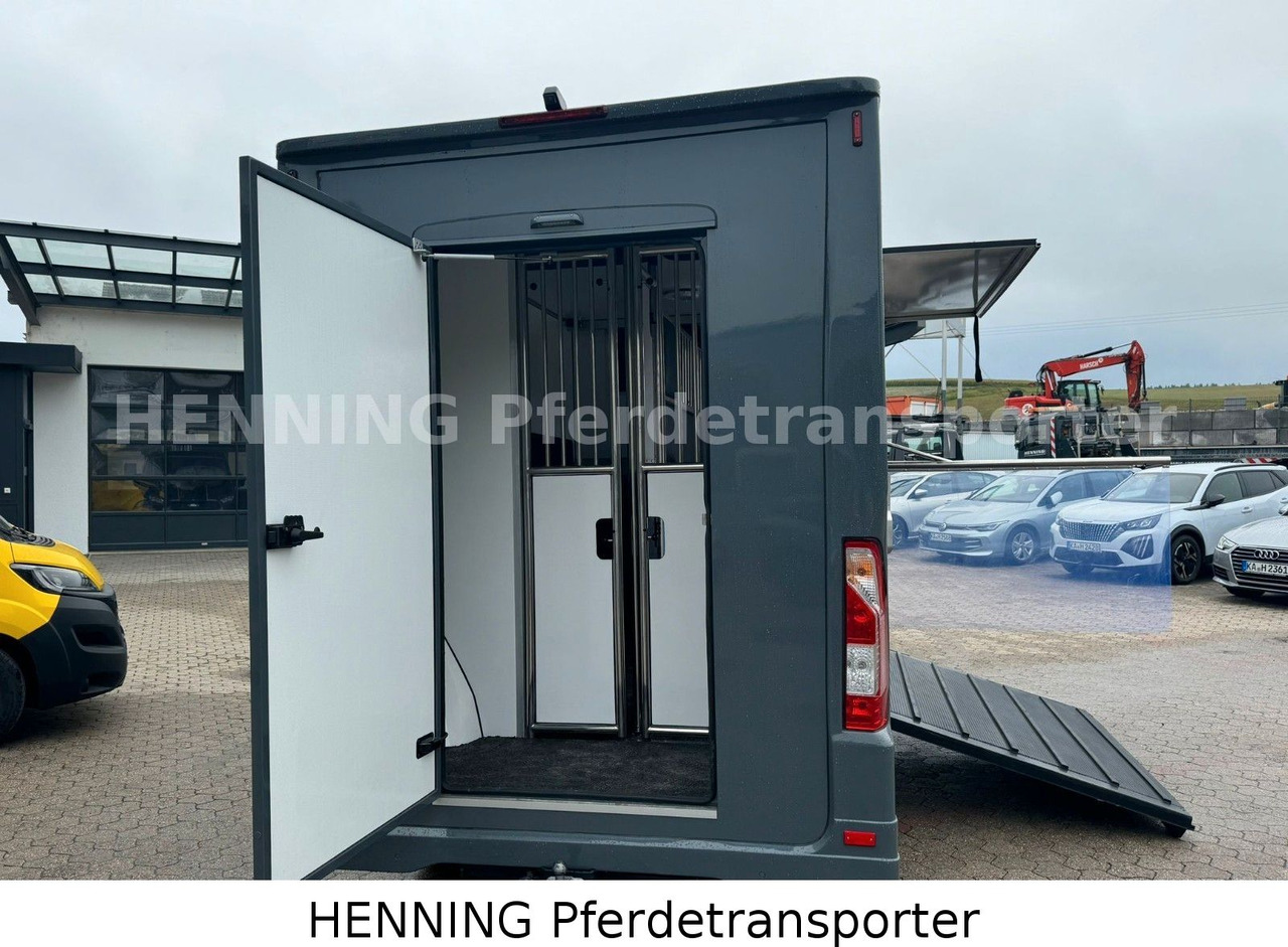 Renault Master 3 - Sitzer *NEUES MODELL* - Djurtransport lastbil: bild 4 Renault Master 3 - Sitzer *NEUES MODELL* - Djurtransport lastbil: bild 4