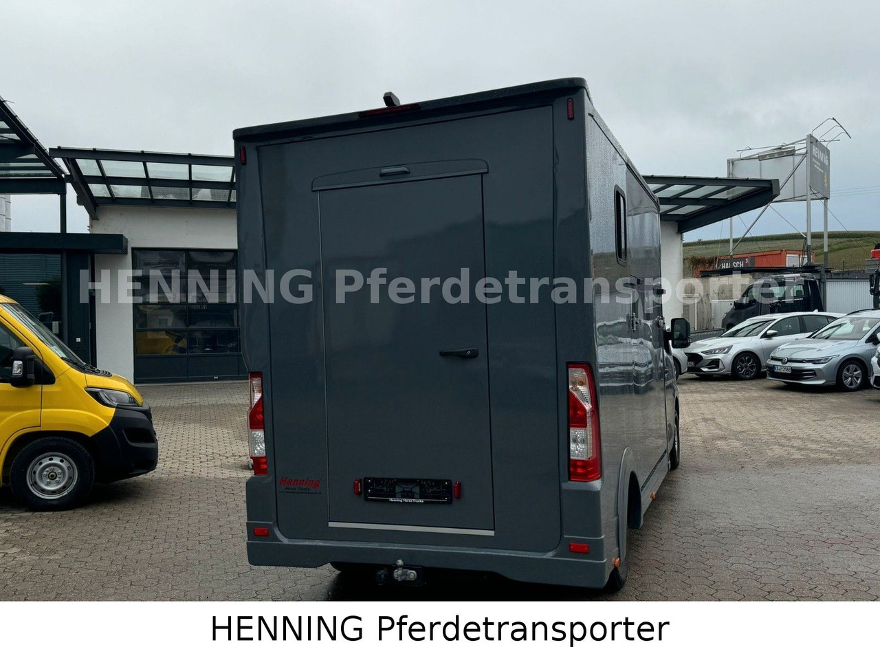 Renault Master 3 - Sitzer *NEUES MODELL* - Djurtransport lastbil: bild 3 Renault Master 3 - Sitzer *NEUES MODELL* - Djurtransport lastbil: bild 3