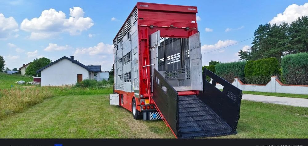 Pezzaioli RBA22 Dwuosiowa Przyczepa – 2x Bydło, 3x Trzoda – 2016r – Bezwypadkowa! - Djursläp: bild 1 Pezzaioli RBA22 Dwuosiowa Przyczepa – 2x Bydło, 3x Trzoda – 2016r – Bezwypadkowa! - Djursläp: bild 1