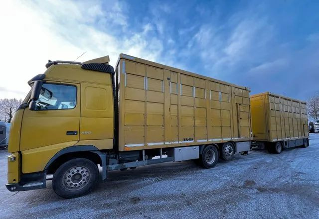 Volvo FH 420 • KABA • Transport Zwierząt 3xŚwinie/ 2xBydło 3-piętrowy • Euro 5 • Retarder • Oś podnoszona i skrętna - Djurtransport lastbil: bild 1 Volvo FH 420 • KABA • Transport Zwierząt 3xŚwinie/ 2xBydło 3-piętrowy • Euro 5 • Retarder • Oś podnoszona i skrętna - Djurtransport lastbil: bild 1