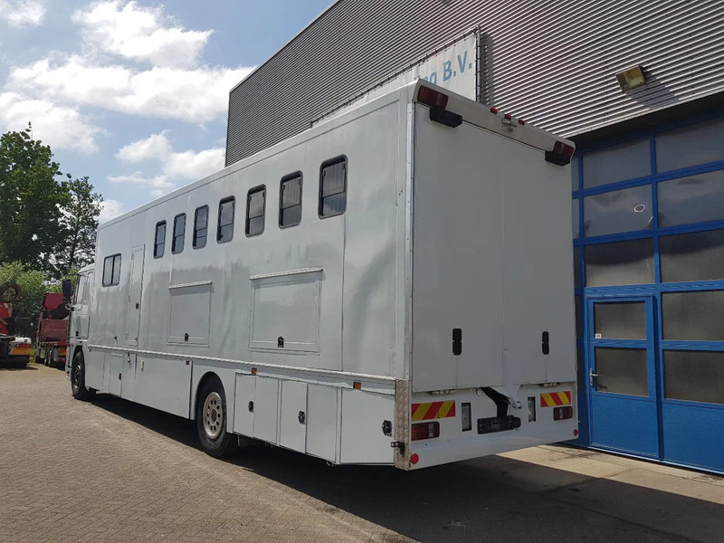 DAF 95.350 Paardenwagen met zitverblijf 7 paarden 7 horses - Hästbuss: bild 4 DAF 95.350 Paardenwagen met zitverblijf 7 paarden 7 horses - Hästbuss: bild 4