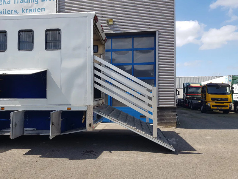 DAF 95.350 Paardenwagen met zitverblijf 7 paarden 7 horses - Hästbuss: bild 5 DAF 95.350 Paardenwagen met zitverblijf 7 paarden 7 horses - Hästbuss: bild 5