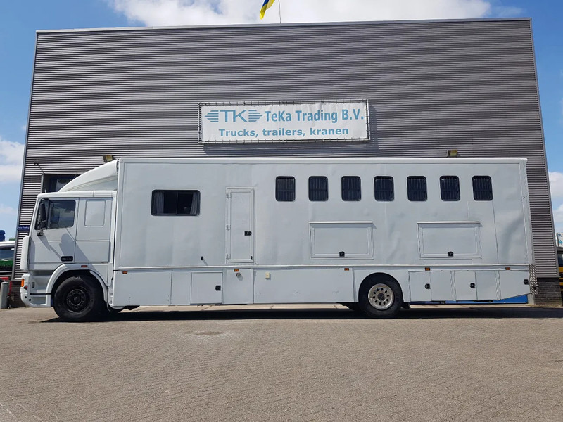 DAF 95.350 Paardenwagen met zitverblijf 7 paarden 7 horses - Hästbuss: bild 3 DAF 95.350 Paardenwagen met zitverblijf 7 paarden 7 horses - Hästbuss: bild 3
