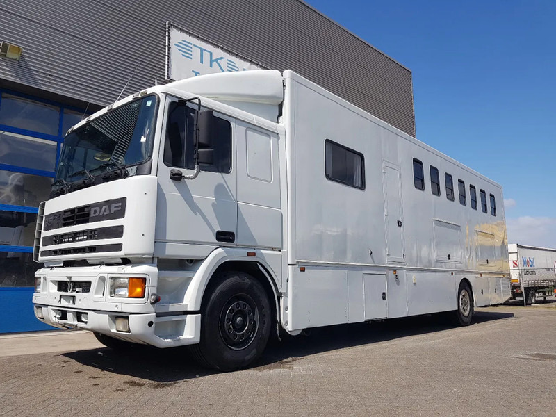 DAF 95.350 Paardenwagen met zitverblijf 7 paarden 7 horses - Hästbuss: bild 1 DAF 95.350 Paardenwagen met zitverblijf 7 paarden 7 horses - Hästbuss: bild 1