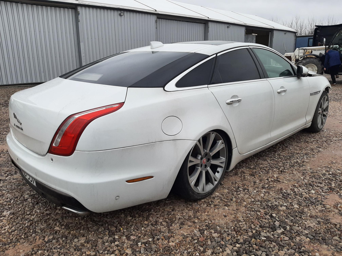 JAGUAR XJ SEDAN - Sedan: bild 4 JAGUAR XJ SEDAN - Sedan: bild 4