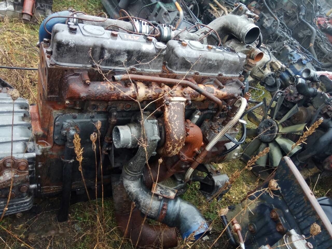 DAF ATI WS315M DAF 95 - Motor för Lastbil: bild 3 DAF ATI WS315M DAF 95 - Motor för Lastbil: bild 3