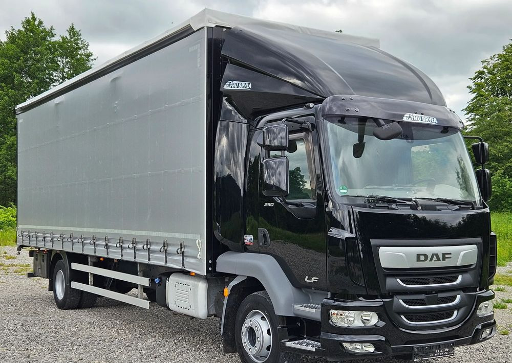 DAF LF 290/WINDA/16TON DMC/FIRANKA/AUTOMAT/16TON DMC/JEDEN WŁAŚCICIE/EURO 6/2019/SPROWADZONY/20PALET/NISKI PRZEBIEG/DUŻA ŁADOWNOŚĆ/JAK NOWY - Kapellbil: bild 2 DAF LF 290/WINDA/16TON DMC/FIRANKA/AUTOMAT/16TON DMC/JEDEN WŁAŚCICIE/EURO 6/2019/SPROWADZONY/20PALET/NISKI PRZEBIEG/DUŻA ŁADOWNOŚĆ/JAK NOWY - Kapellbil: bild 2