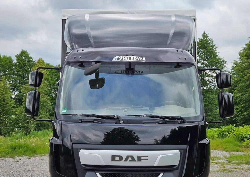 DAF LF 290/WINDA/16TON DMC/FIRANKA/AUTOMAT/16TON DMC/JEDEN WŁAŚCICIE/EURO 6/2019/SPROWADZONY/20PALET/NISKI PRZEBIEG/DUŻA ŁADOWNOŚĆ/JAK NOWY - Kapellbil: bild 5 DAF LF 290/WINDA/16TON DMC/FIRANKA/AUTOMAT/16TON DMC/JEDEN WŁAŚCICIE/EURO 6/2019/SPROWADZONY/20PALET/NISKI PRZEBIEG/DUŻA ŁADOWNOŚĆ/JAK NOWY - Kapellbil: bild 5