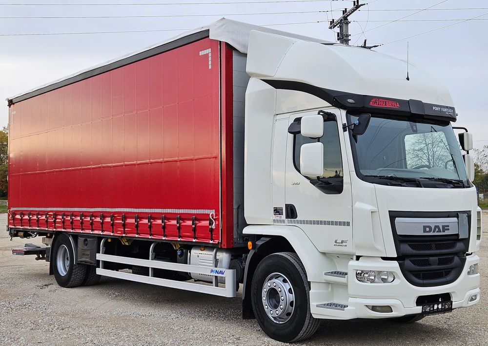 DAF LF 310/WINDA/FIRANKA/NOWE TURBO/NOWE SPRZĘGŁO/EURO 6/SPROWADZONY/20PALET/ŁADOWNOSC 10TON - Kapellbil: bild 2 DAF LF 310/WINDA/FIRANKA/NOWE TURBO/NOWE SPRZĘGŁO/EURO 6/SPROWADZONY/20PALET/ŁADOWNOSC 10TON - Kapellbil: bild 2