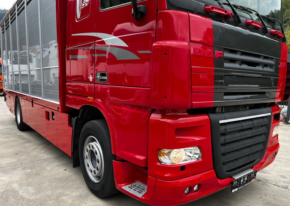 DAF XF 105.460 Euro 5 // Manual // Retarder // Do Żywca / Bydła / Zwierząt / - Djurtransport lastbil: bild 3 DAF XF 105.460 Euro 5 // Manual // Retarder // Do Żywca / Bydła / Zwierząt / - Djurtransport lastbil: bild 3