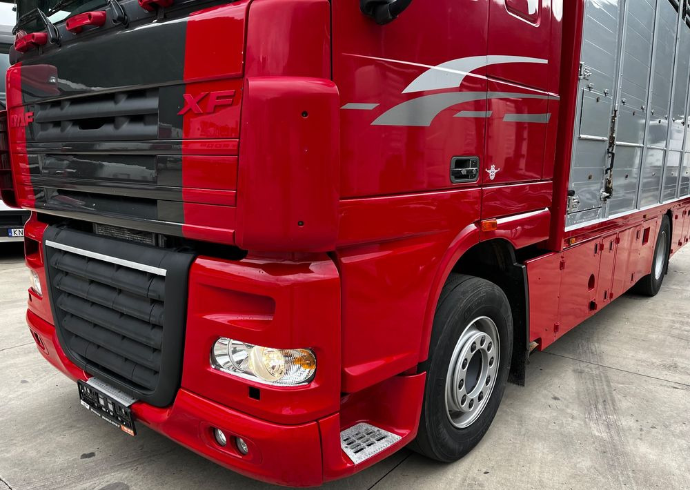 DAF XF 105.460 Euro 5 // Manual // Retarder // Do Żywca / Bydła / Zwierząt / - Djurtransport lastbil: bild 4 DAF XF 105.460 Euro 5 // Manual // Retarder // Do Żywca / Bydła / Zwierząt / - Djurtransport lastbil: bild 4