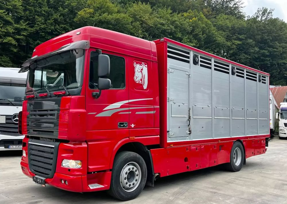 DAF XF 105.460 Euro 5 // Manual // Retarder // Do Żywca / Bydła / Zwierząt / - Djurtransport lastbil: bild 1 DAF XF 105.460 Euro 5 // Manual // Retarder // Do Żywca / Bydła / Zwierząt / - Djurtransport lastbil: bild 1