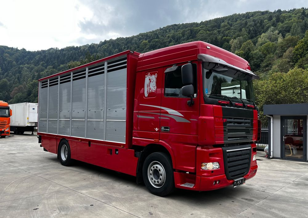 DAF XF 105.460 Euro 5 // Manual // Retarder // Do Żywca / Bydła / Zwierząt / - Djurtransport lastbil: bild 2 DAF XF 105.460 Euro 5 // Manual // Retarder // Do Żywca / Bydła / Zwierząt / - Djurtransport lastbil: bild 2