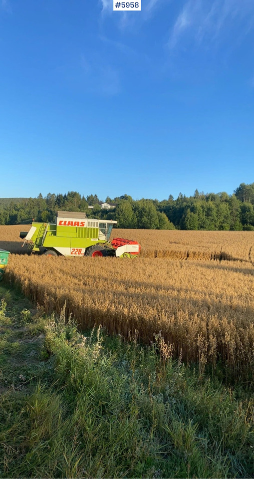 1993 Claas Commandor 228 CS - Skördetröska: bild 4 1993 Claas Commandor 228 CS - Skördetröska: bild 4