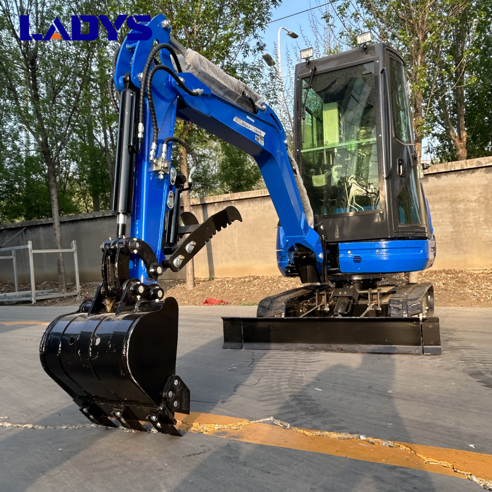 LADYS DY25U Mini Excavator Kubota Euro 5/Epa Engine Mini Excavator For Sale - Minigrävmaskin: bild 3 LADYS DY25U Mini Excavator Kubota Euro 5/Epa Engine Mini Excavator For Sale - Minigrävmaskin: bild 3