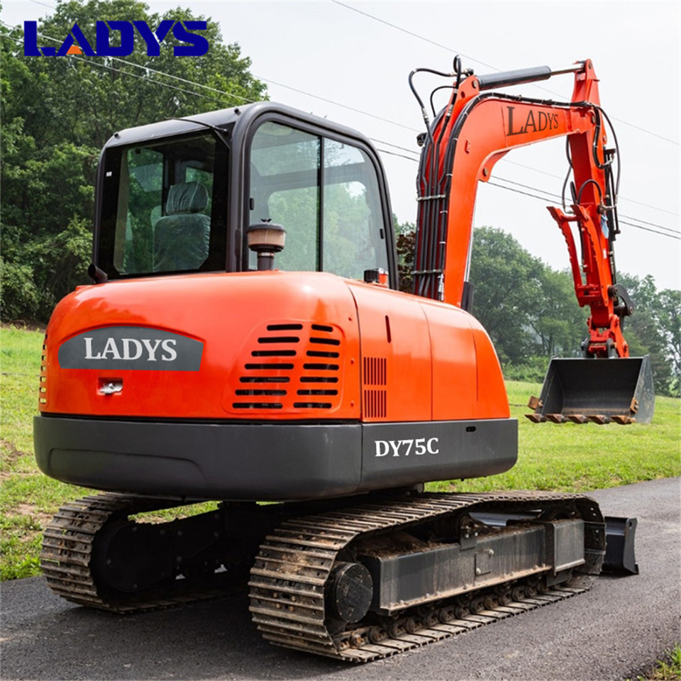 LADYS DY75C Small Excavator Euro 5/Epa Yanmar Engine Small Excavator Crawler Excavator For Sale - Bandgrävare: bild 3 LADYS DY75C Small Excavator Euro 5/Epa Yanmar Engine Small Excavator Crawler Excavator For Sale - Bandgrävare: bild 3