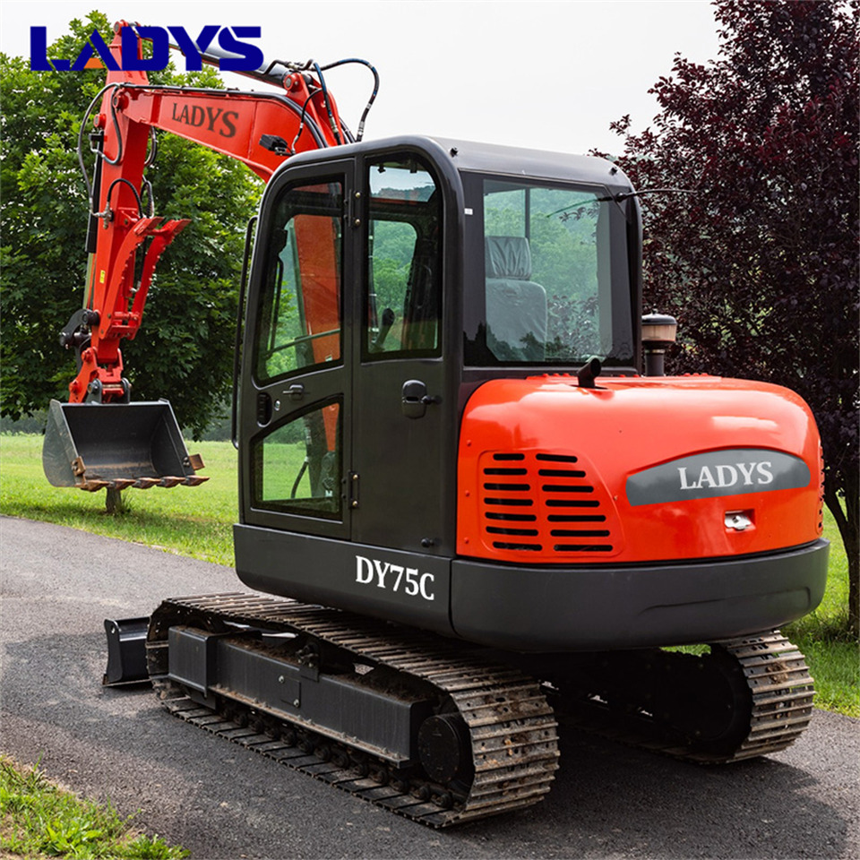LADYS DY75C Small Excavator Euro 5/Epa Yanmar Engine Small Excavator Crawler Excavator For Sale - Bandgrävare: bild 5 LADYS DY75C Small Excavator Euro 5/Epa Yanmar Engine Small Excavator Crawler Excavator For Sale - Bandgrävare: bild 5