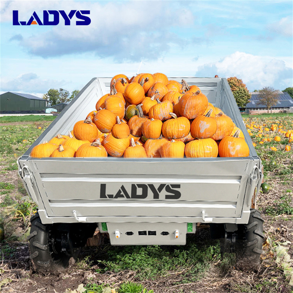 Ny Tippvagn för lantbruk LADYS Electric Remote Control Transporter Agricultural Orchard Farm Electric Utv Material Handling Equipment All Terrain Transport Vehicle: bild 8