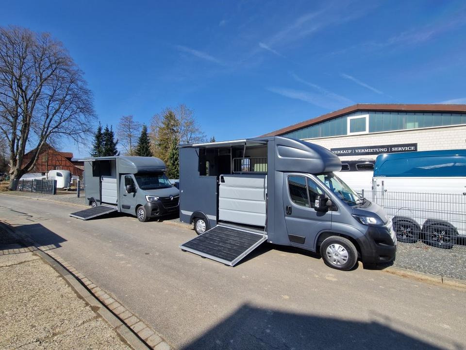 MSG Stablehopper Pferdetransporter Pferdeanhänger Böckmann - Hästbuss: bild 1 MSG Stablehopper Pferdetransporter Pferdeanhänger Böckmann - Hästbuss: bild 1