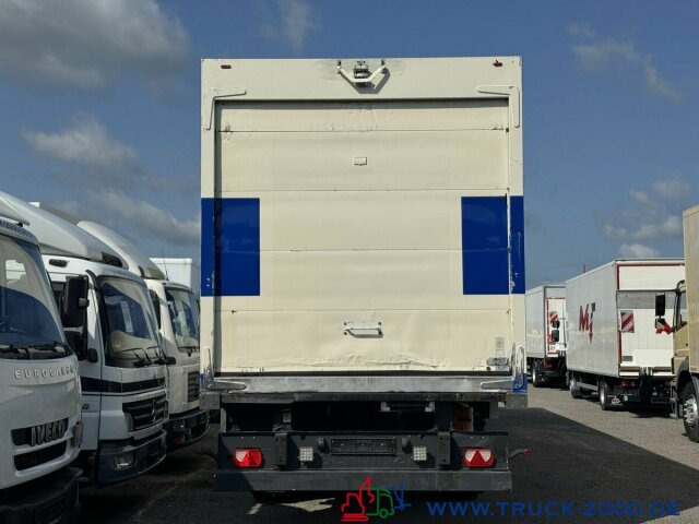Schmitz Cargobull Schmitz Thermo King SLX Spectrum Tiefkühler -20° - Kyl/ Frys semitrailer: bild 3 Schmitz Cargobull Schmitz Thermo King SLX Spectrum Tiefkühler -20° - Kyl/ Frys semitrailer: bild 3