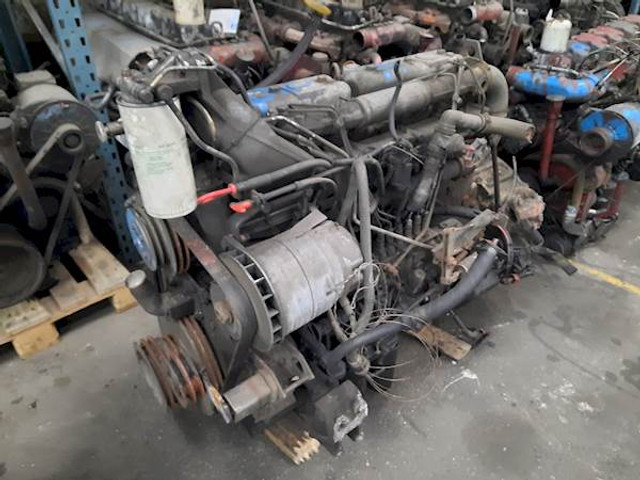 DAF WS242L - Motor för Buss: bild 1 DAF WS242L - Motor för Buss: bild 1