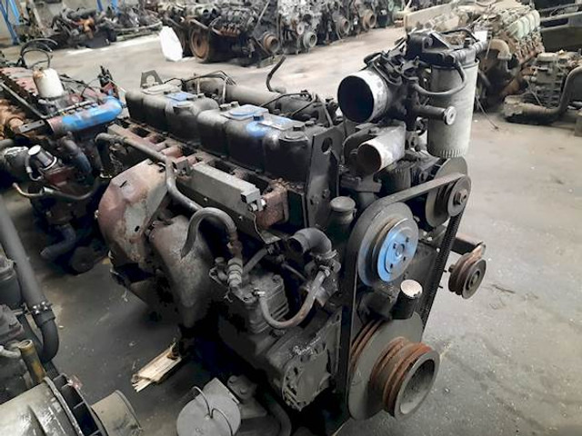 DAF WS242L - Motor för Buss: bild 3 DAF WS242L - Motor för Buss: bild 3