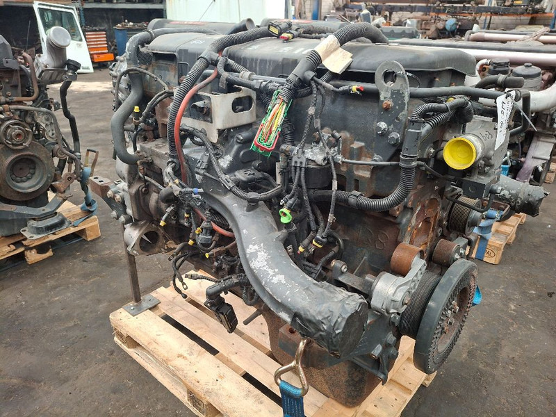 Iveco F3AE3681D ( CURSOR10 ) - Motor: bild 4 Iveco F3AE3681D ( CURSOR10 ) - Motor: bild 4