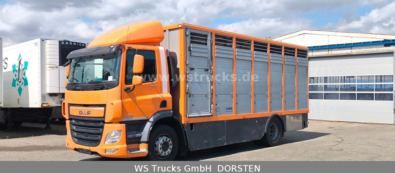 DAF CF 400 Menke Einstock Viehtransporter - Hästbuss: bild 2 DAF CF 400 Menke Einstock Viehtransporter - Hästbuss: bild 2
