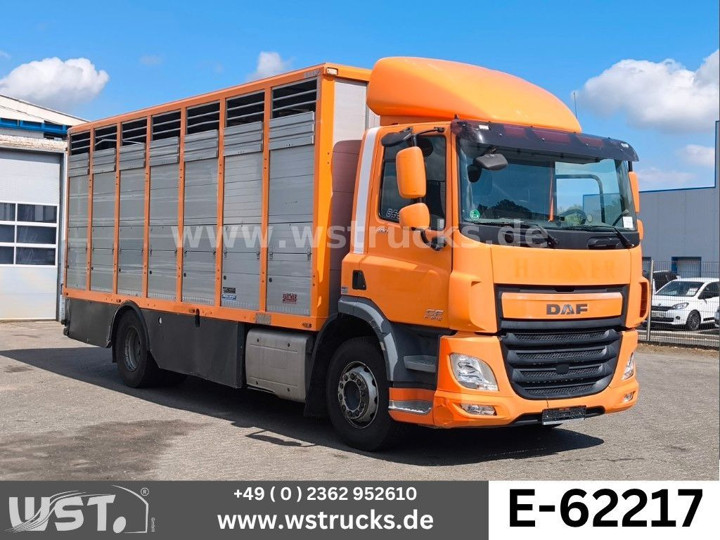 DAF CF 400 Menke Einstock Viehtransporter - Hästbuss: bild 1 DAF CF 400 Menke Einstock Viehtransporter - Hästbuss: bild 1
