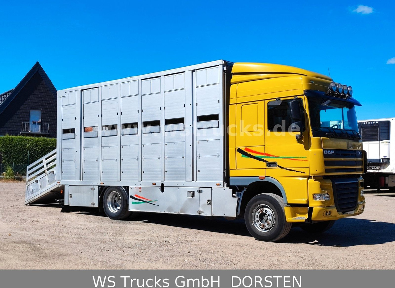 DAF XF 410 SC Menke Doppelstock - Hästbuss: bild 5 DAF XF 410 SC Menke Doppelstock - Hästbuss: bild 5