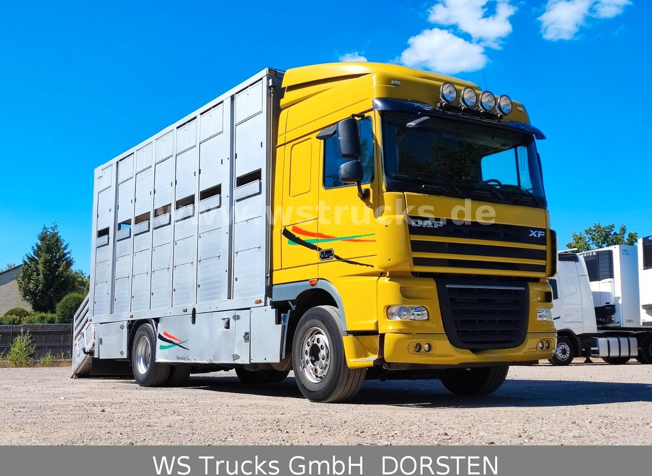 DAF XF 410 SC Menke Doppelstock - Hästbuss: bild 3 DAF XF 410 SC Menke Doppelstock - Hästbuss: bild 3