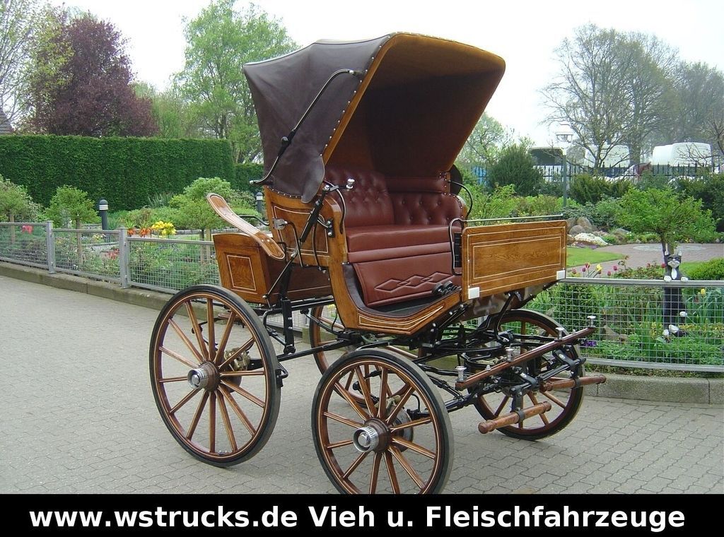 Exclusiver Doktorwagen Inzahlungn. v. Pferden - Djursläp: bild 1 Exclusiver Doktorwagen Inzahlungn. v. Pferden - Djursläp: bild 1