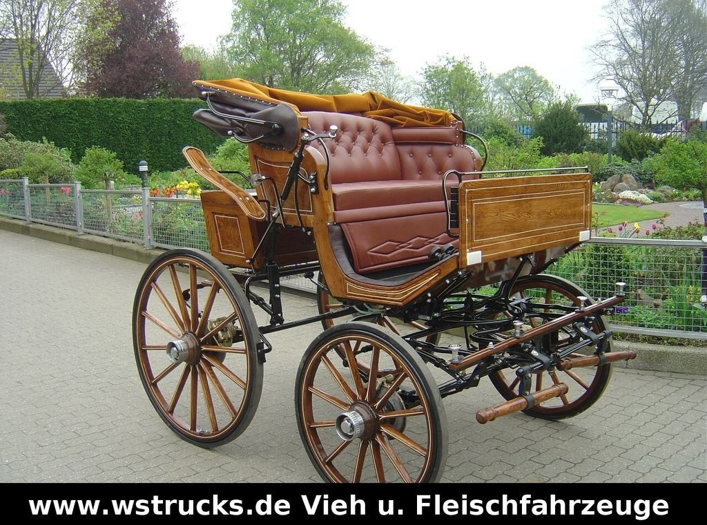 Exclusiver Doktorwagen Inzahlungn. v. Pferden - Djursläp: bild 3 Exclusiver Doktorwagen Inzahlungn. v. Pferden - Djursläp: bild 3