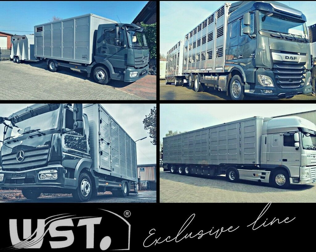 Transportbil med tippflak Iveco 49-10 Dreiseitenkipper: bild 12