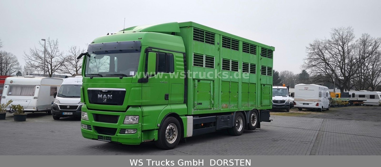 MAN TGX 26.480 XL KABA 3 Stock Vollalu - Hästbuss: bild 2 MAN TGX 26.480 XL KABA 3 Stock Vollalu - Hästbuss: bild 2