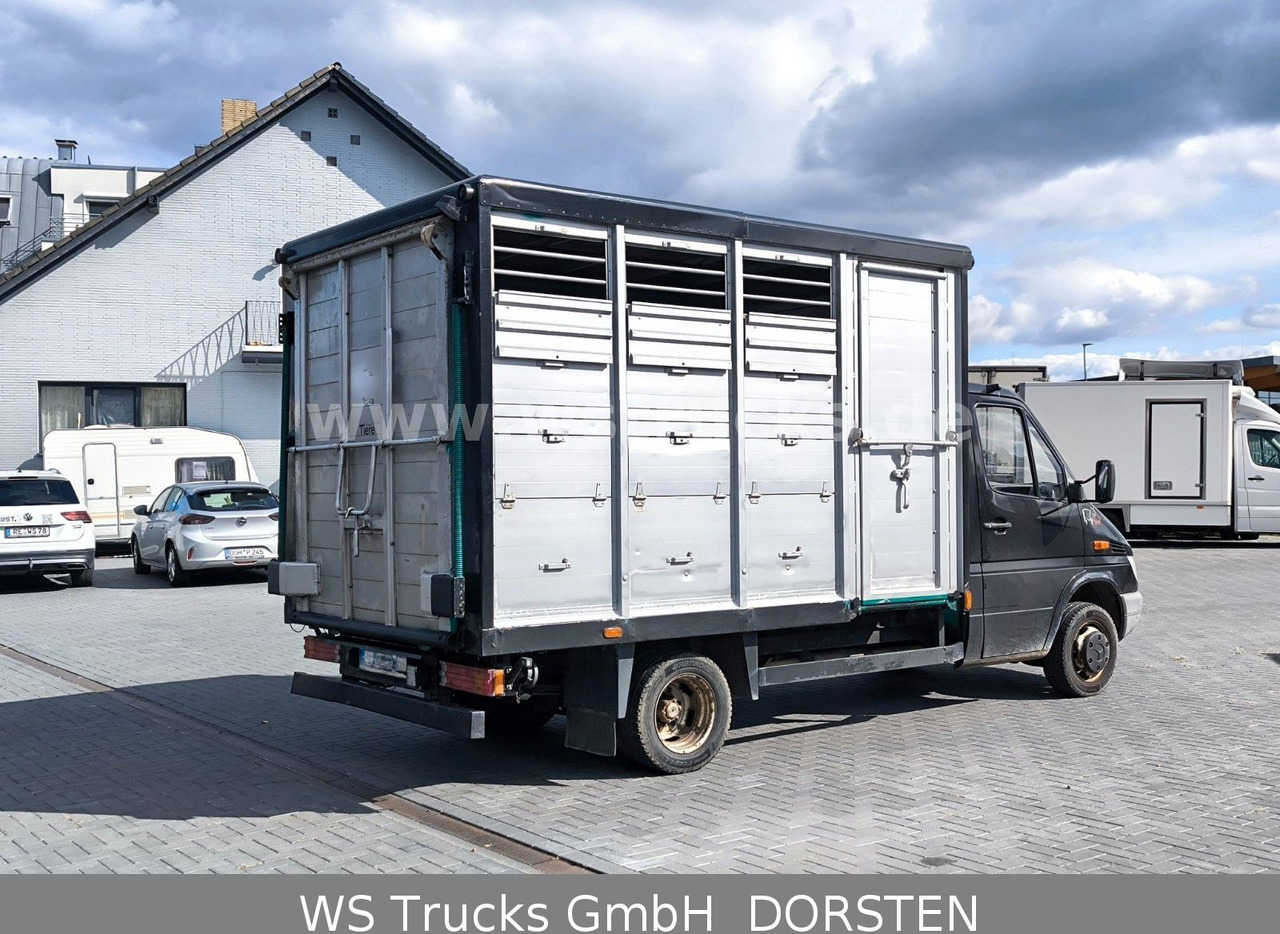Mercedes-Benz Sprinter 411 CDI Viehtransporter - Djurtransport lastbil: bild 3 Mercedes-Benz Sprinter 411 CDI Viehtransporter - Djurtransport lastbil: bild 3