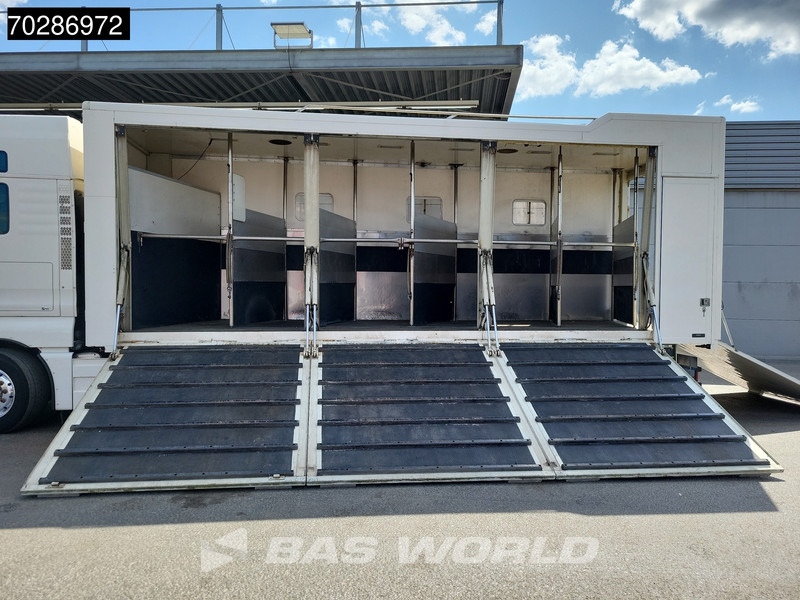MAN TGX 26.480 TGX 6X2 NL-Truck BDF HorseTransport Lift+steering axle Standklima Automatic Xenon Alcoa´s Euro 5 - Containerbil/ Växelflak lastbil: bild 3 MAN TGX 26.480 TGX 6X2 NL-Truck BDF HorseTransport Lift+steering axle Standklima Automatic Xenon Alcoa´s Euro 5 - Containerbil/ Växelflak lastbil: bild 3