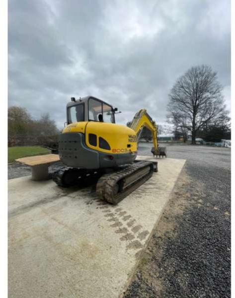 Wacker Neuson 8003 - Bandgrävare: bild 1 Wacker Neuson 8003 - Bandgrävare: bild 1