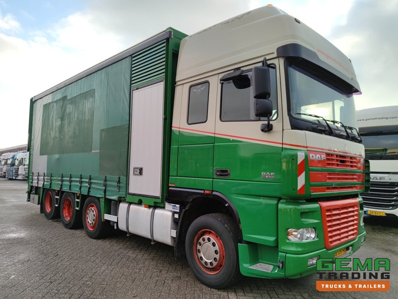DAF FAK XF95.430 8x2 Super spacecab Euro3 - CurtainSider 7.31m + Ramp 16T - MachineTransporter - 6 Persons (V558) - Biltransportbil lastbil: bild 3 DAF FAK XF95.430 8x2 Super spacecab Euro3 - CurtainSider 7.31m + Ramp 16T - MachineTransporter - 6 Persons (V558) - Biltransportbil lastbil: bild 3