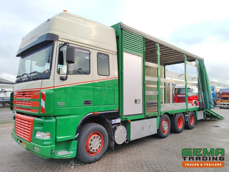 DAF FAK XF95.430 8x2 SuperSpaceCab Euro3 - CurtainSider 7.31m + Ramp 16T - MachineTransporter - 6 Persons (V558) - Biltransportbil lastbil: bild 1 DAF FAK XF95.430 8x2 SuperSpaceCab Euro3 - CurtainSider 7.31m + Ramp 16T - MachineTransporter - 6 Persons (V558) - Biltransportbil lastbil: bild 1