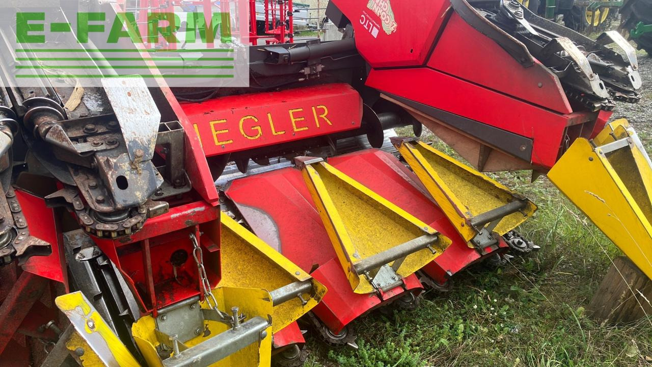 Ziegler Corn Champion - Skärbord för majs: bild 3 Ziegler Corn Champion - Skärbord för majs: bild 3